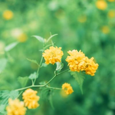 逆战龙城手游破解版下载